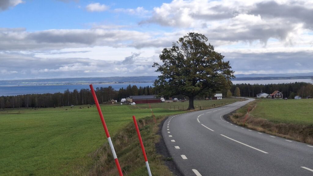 D10 Hojsläppet 2026