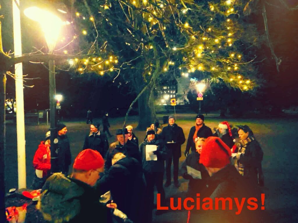 D15 Luciamys i Lundagård 11 december